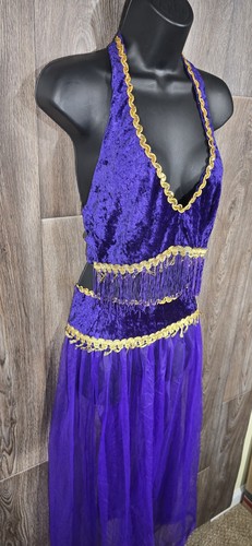 Belly dancer costume - belly, women's