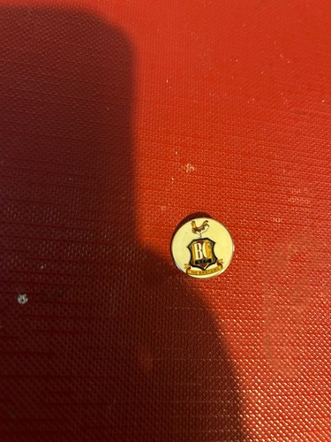 Bradford city pin badge - city,