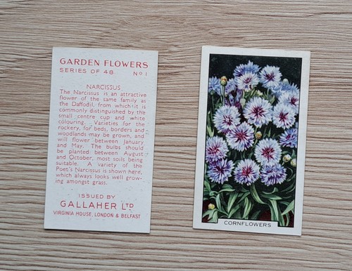 Full set cards - set, garden
