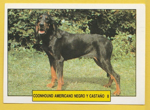 Dogs spanish trading - spanish, card