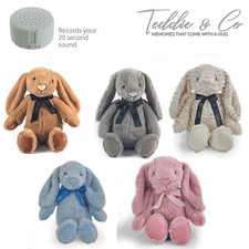 Message Recording Bunny