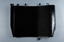 Water Radiator OEM Style For