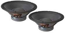 12" Speaker Driver 200 Watt 8