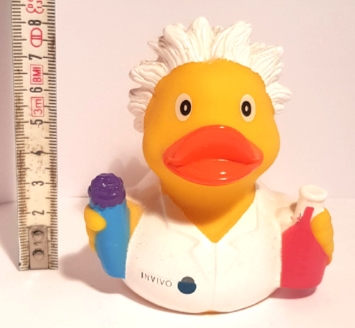 Duck professor - duck,