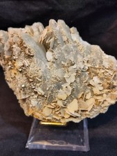 Unusual Bladed Calcite, Quartz