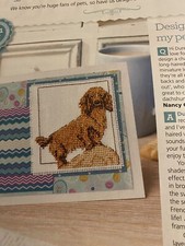 (ZX4) Long Haired Dachshund