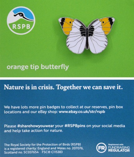 Rspb pin badge - rspb, orange