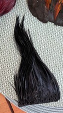 Black Cock Hackle