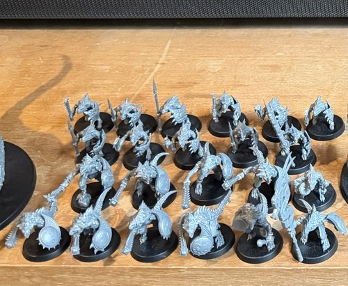 Age sigmar seraphon x21 - of,