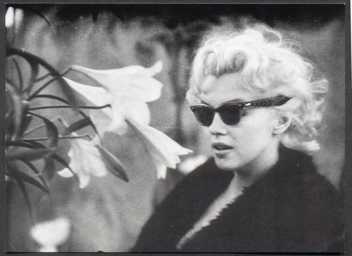 Modern postcard actress - modern, postcard: