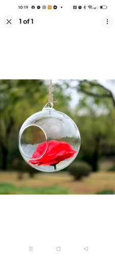 Hanging glass terrarium - 5x,