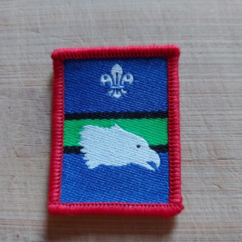 Current scouting scout - uk,