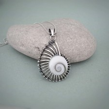 Large Ammonite pendant in sterling silver and shiva eye shell, Nautilus fossil