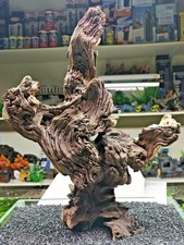 Large mopani wood aquarium - mopani,