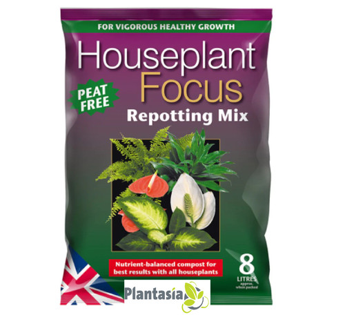 Houseplant focus repotting mix - repotting,