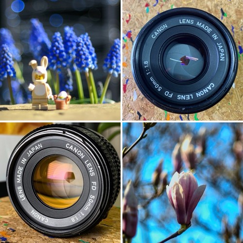 Canon 50mm 8 prime lens - fd,