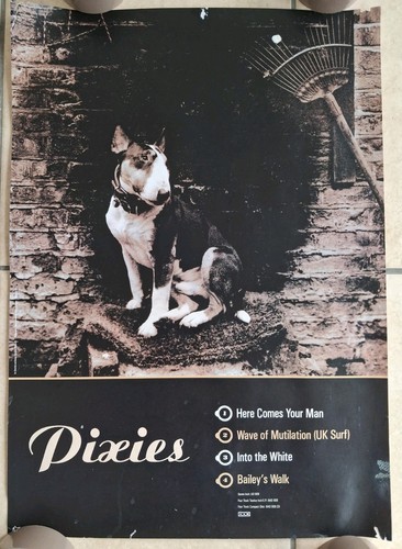 Pixies here comes your man - here,