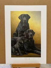 Nigel Hemming - Generations Black Labradors (Print Only) - In Stock