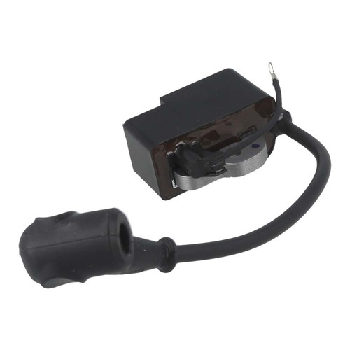 Ignition coil module - module, for