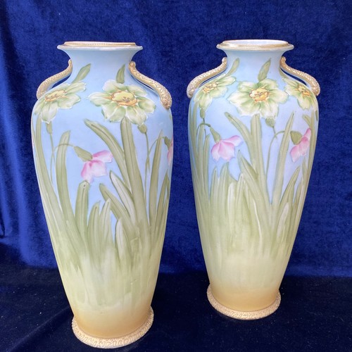 Nippon sharkskin decorated - nippon,