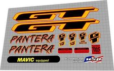 1996 GT Pantera Black Frame