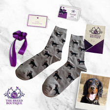 GORDON SETTER SOCKS UNISEX ONE
