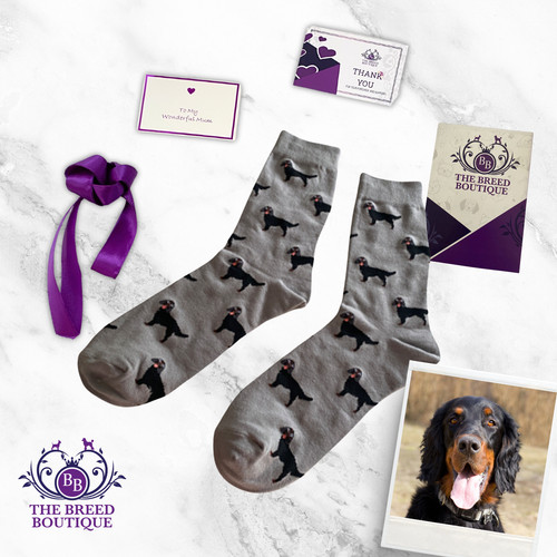 Gordon setter socks unisex one - gordon,