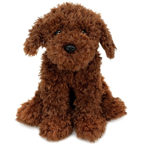 Laurel the labradoodle - the, |