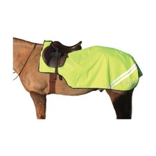 HI-VIZ EXERCISE SHEET RIDE-ON