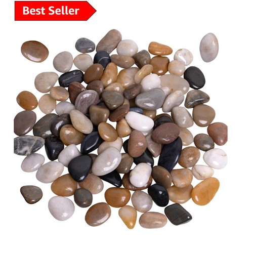 Elegant 2kg mixed - 2kg,