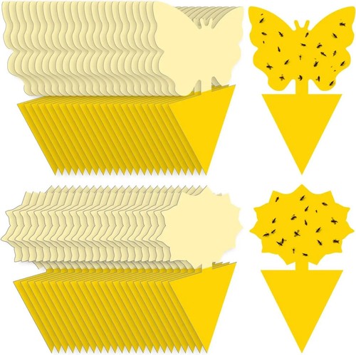 Pack fruit fly traps yellow - 41,