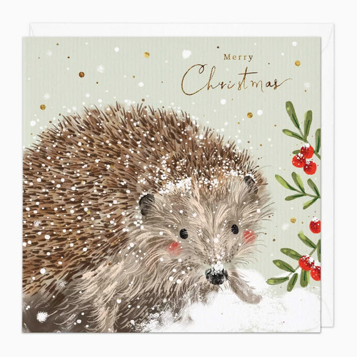 Whistlefish snowy hedgehog - whistlefish,