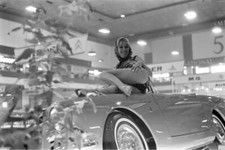 A model on the wing of a