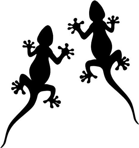 Tribal gecko car camper van - gecko,