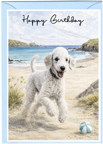 Bedlington terrier dog x - bedlington, (4"x