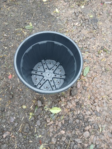 55l pots with drainage holes - with,
