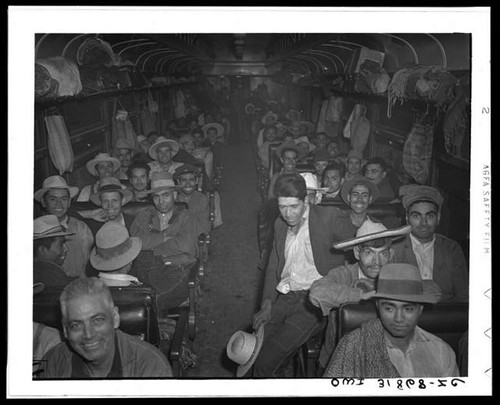 Photo mexican farm - photo:mexican, laborers