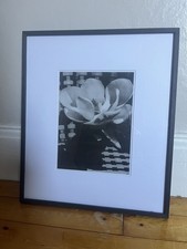 1926/75 MAN RAY Vintage Flower MAGNOLIA White Bloom Still Life Photo Art 12x16