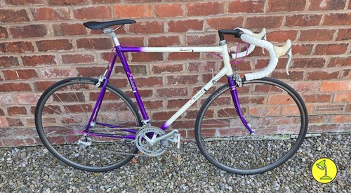 Raleigh dyna tech - 600, road