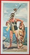 NAUTILUS SPEAR FISHING GUN   Vintage Scuba Diving    Illustrated Card  JE19MS