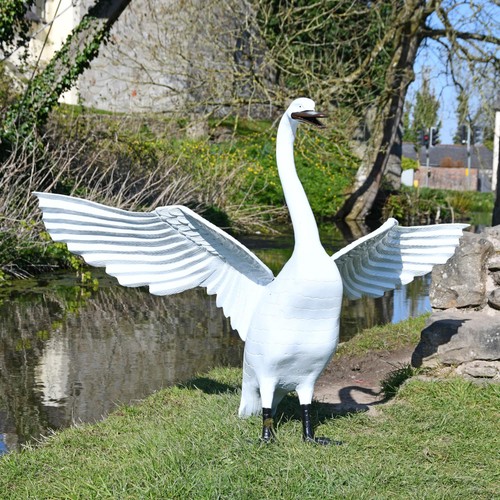 Life size posturing - life-size, swan