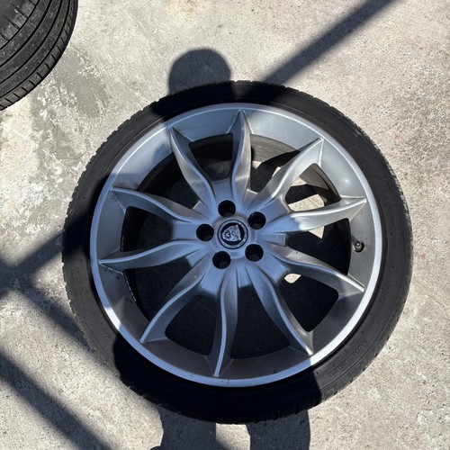 Jaguar x250 draco - jaguar, 20"