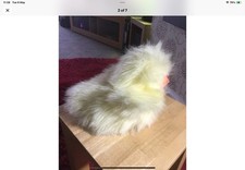 Vintage hallmark fluffy chick - fluffy,