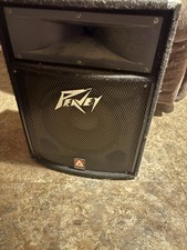 Peavey PV 118 18 Inch