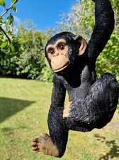 Climbing chimp monkey - climbing,