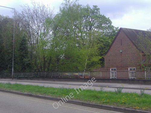Photo 6x4 verge - verge, by