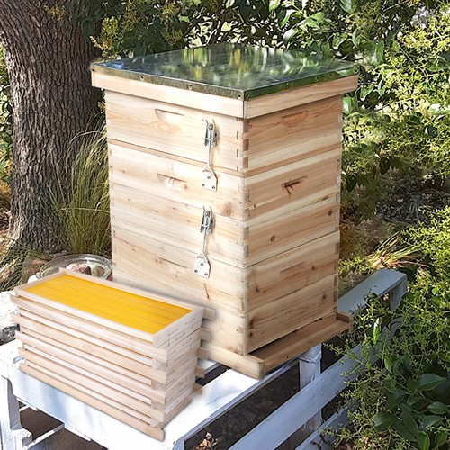 Tiers langstroth bee - langstroth,