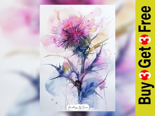 Beautiful thistle flower - thistle,