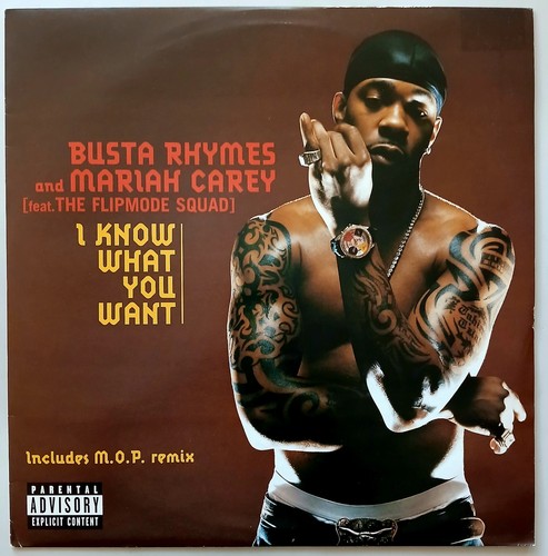 Vinyl record busta - vinyl,