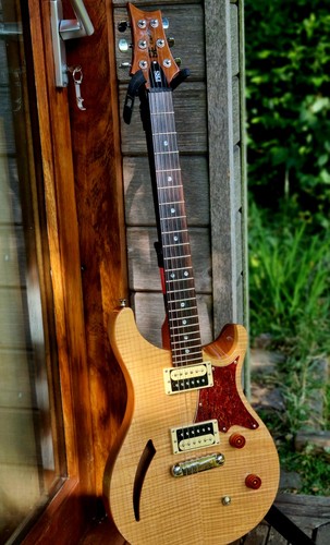 Paul reed smith custom 22 - paul, se